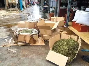 1-1FG0115142115.jpg 1-1FG0115142115.jpg