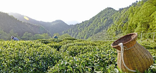 13564B5L-0.jpg 13564B5L-0.jpg