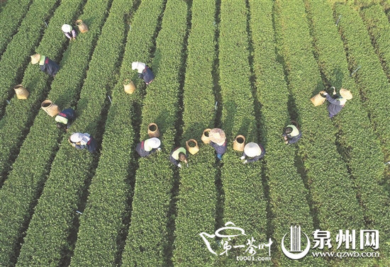 15541212N-0.jpg 15541212N-0.jpg